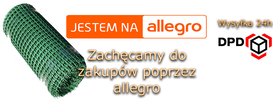 allegro.jpg